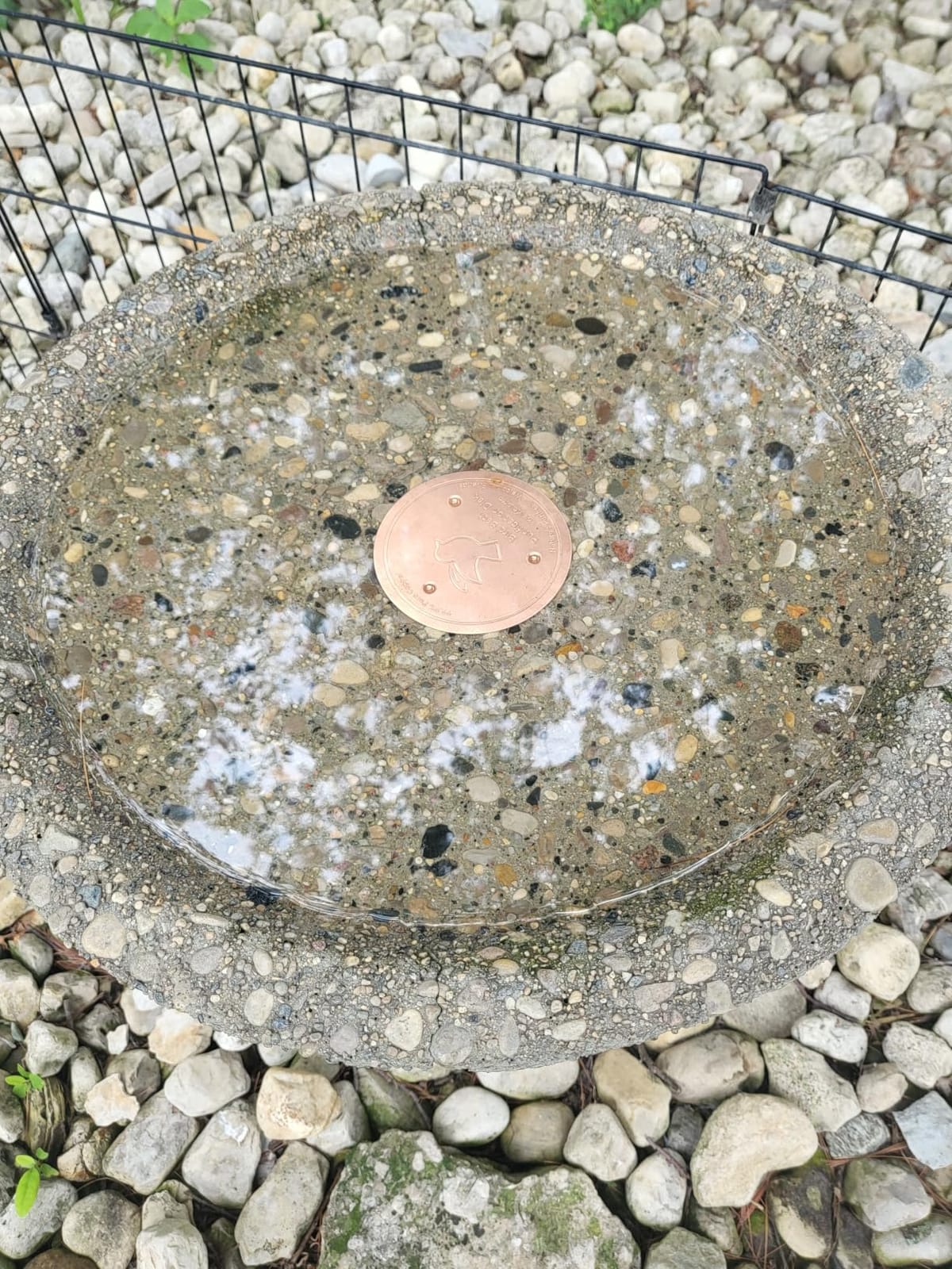 Mellbree Bird Bath Copper Disc, 0.6mm Reinforced 99.99% Pure Copper Cleaning Disk for Physical Safe Clean Water All-Season, Universal Fit for Outdoor Birdbaths, Bowl, Bird Bath Solar customer photo 1