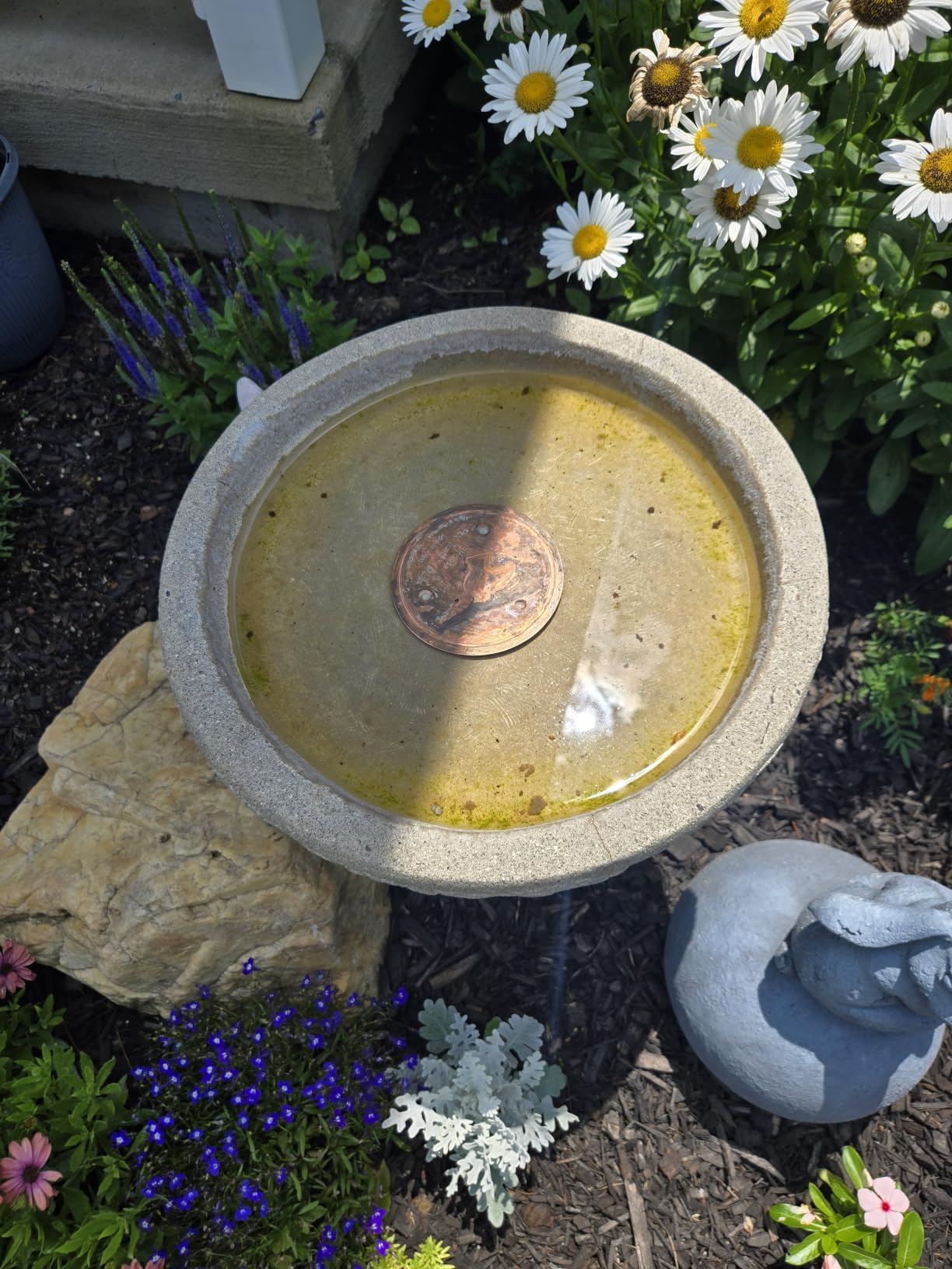 Mellbree Bird Bath Copper Disc, 0.6mm Reinforced 99.99% Pure Copper Cleaning Disk for Physical Safe Clean Water All-Season, Universal Fit for Outdoor Birdbaths, Bowl, Bird Bath Solar customer photo 2