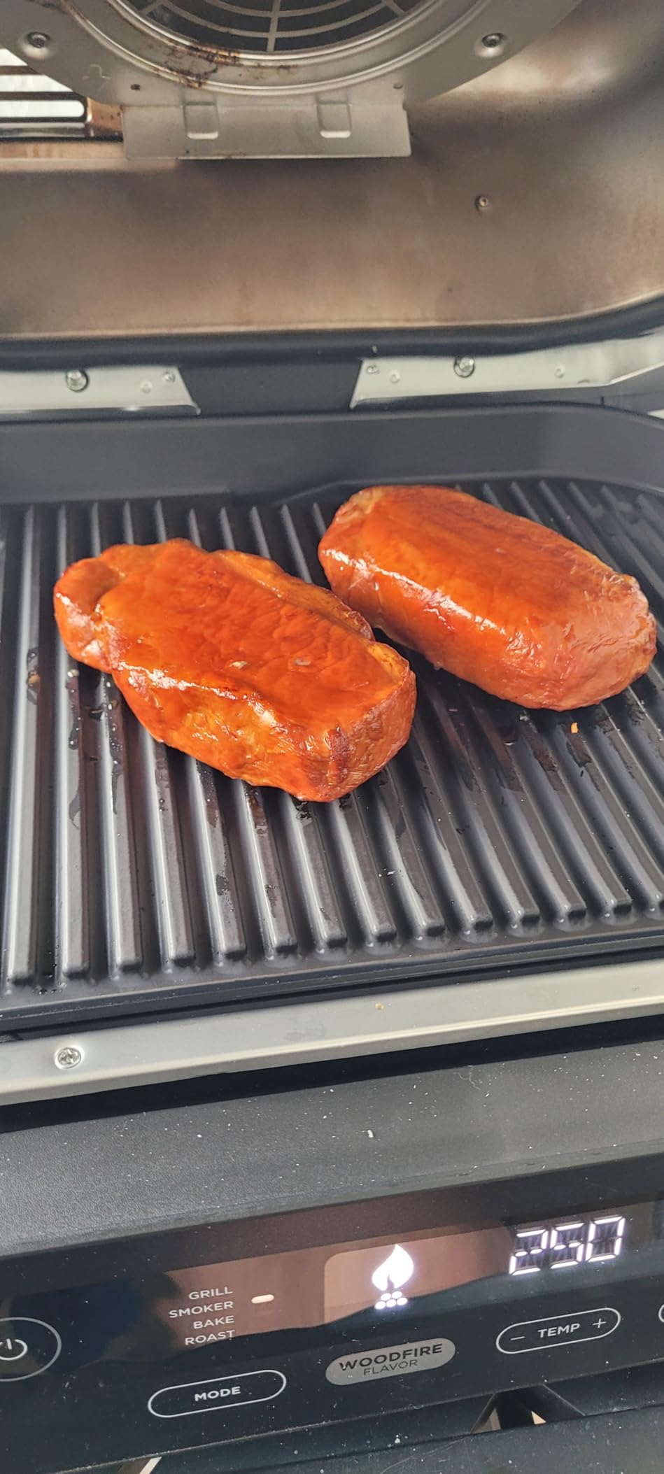 Ninja Woodfire Outdoor Grill & Smoker, 3-in-1 BBQ, Bake & Roast, OG301 customer photo 1