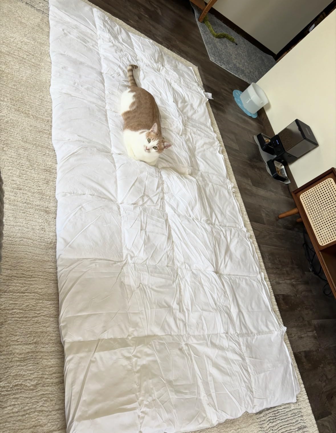 L LOVSOUL Goose Feather Down Fiber Comforter Queen, Grey, All Season | 100% Organic Cotton Fabric, 750+ Fill Power, Hotel Collection, Soft, Fluffy and Breathable, 8 Corner Tab, 90x90in customer photo 1