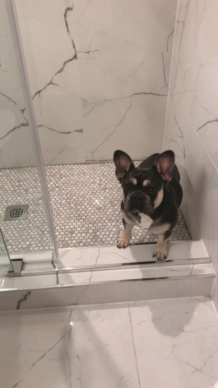 Woodbridge Frameless Bathtub Shower Doors 56-60