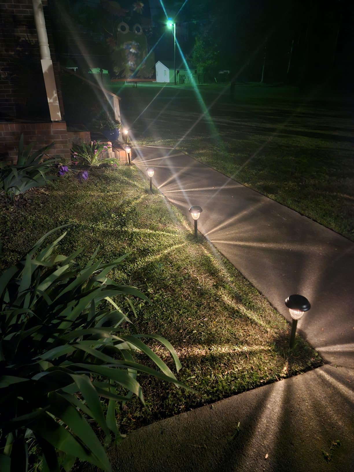 DERAYSION 8 Pack Solar Lights Outdoor, Stainless Steel Glass Solar Pathway Lights, Auto On/Off Long-Lasting Waterproof Garden Lights for Landscape, Path, Yard, Driveway, Walkway Decor (Warm White) customer photo 1