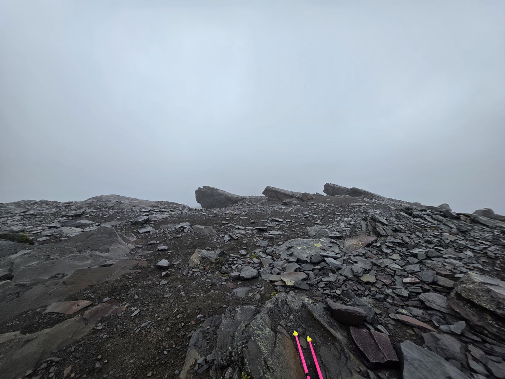 LEKI Ultratrail FX.One Trekking Poles customer photo 2