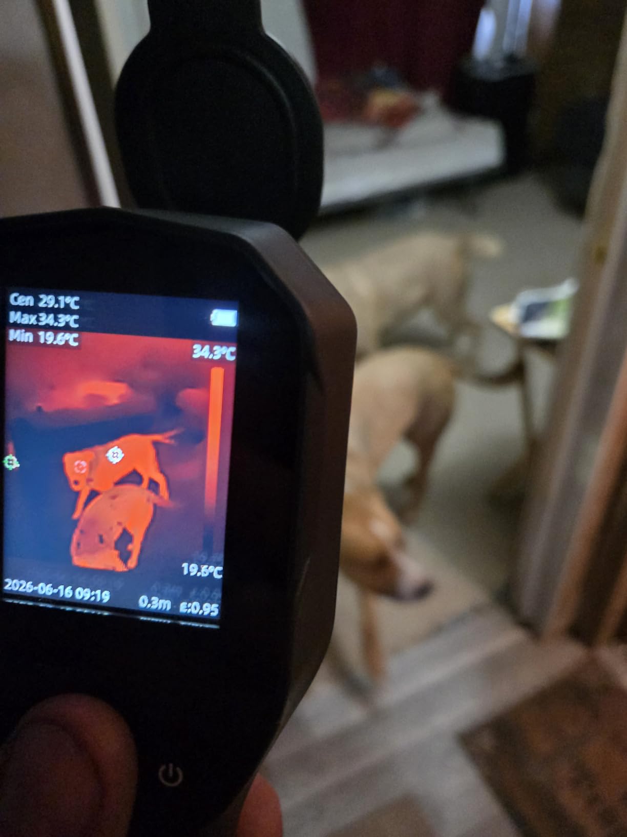 Thermal Camera, 240 x 240 TISR Resolution for Home Inspection customer photo 2