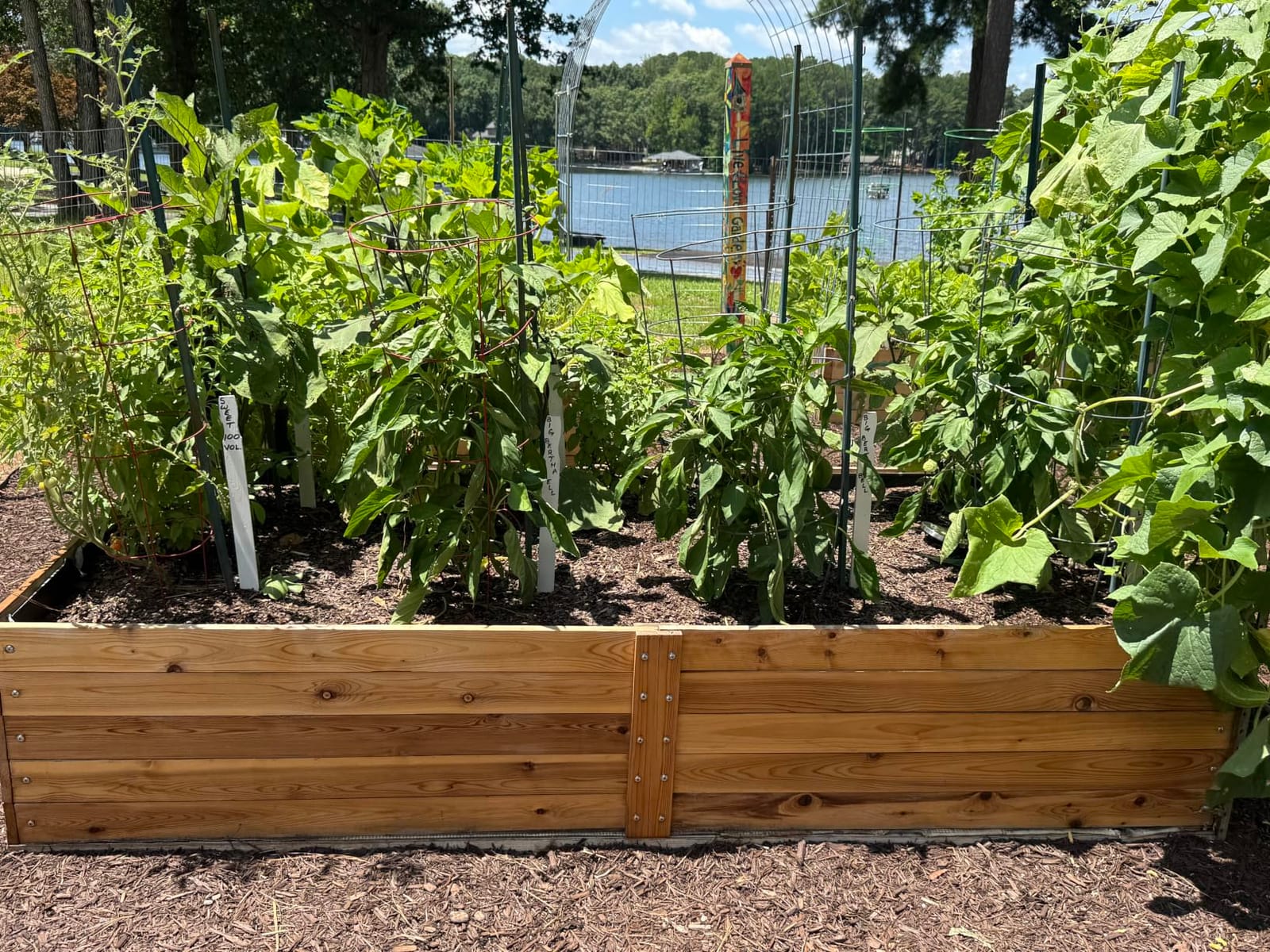 Infinite Cedar Select Cedar Raised Garden Bed (4' x 8' x 17.5