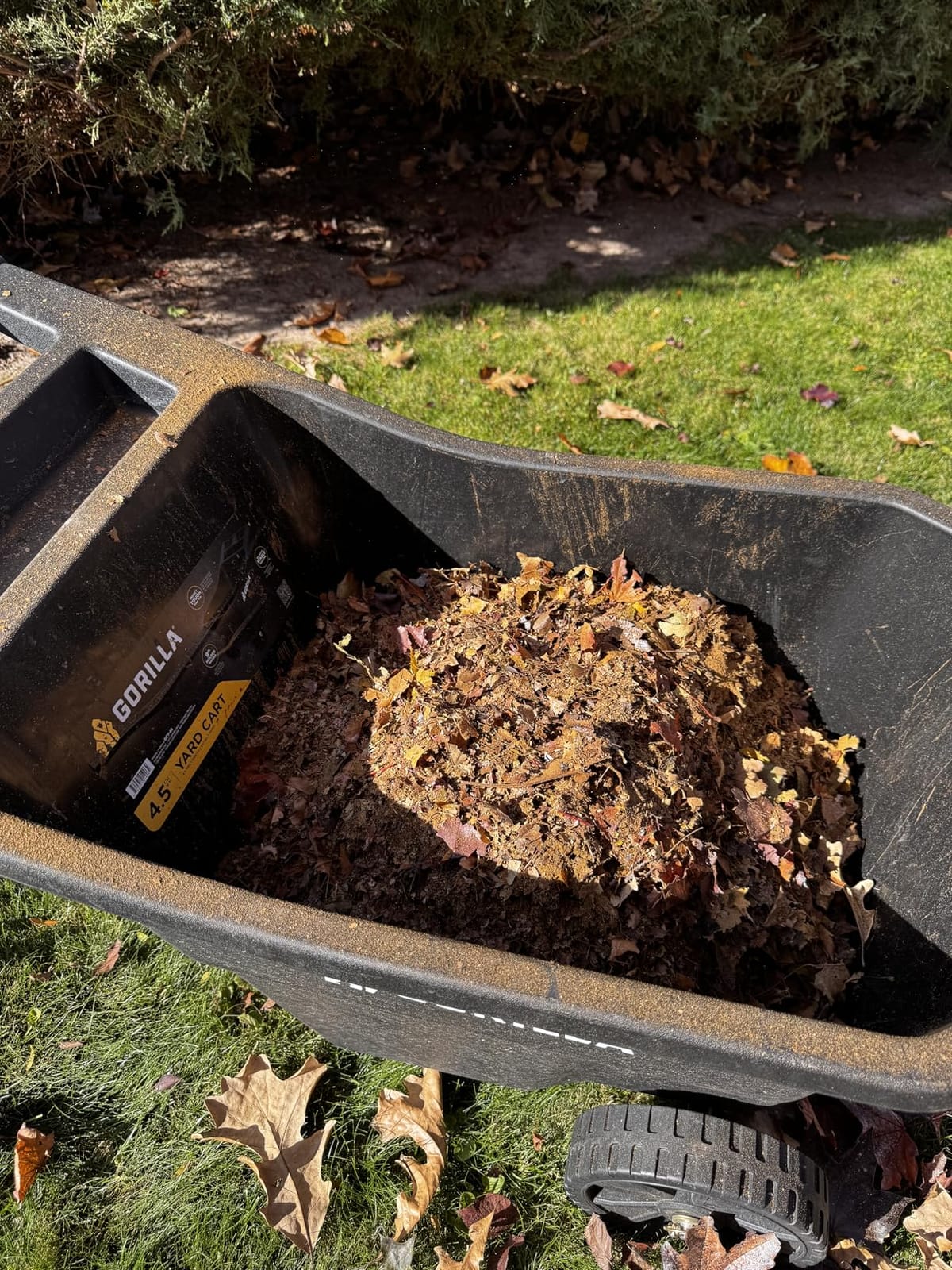 Electric Leaf Mulcher/Shredder: DEKOPRO 15-Amp 8200RPM Motor for 17:1 Reduction Ratio, Adjustable Control Dia with Leaf Scoops Spade, Collection Bag & 20 Cutting Lines customer photo 2