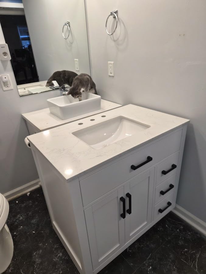 48-inch Dark Walnut Bathroom Vanity with Sink, Solid Wood, 0.79-inch Stone Countertop and Backsplash, 9 Drawers, 2 Soft Closing Doors customer photo 1