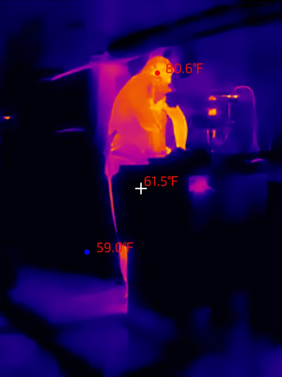 Thermal Master P1 Thermal Camera for USB-C iOS/Android, 320x240 Resolution customer photo 2
