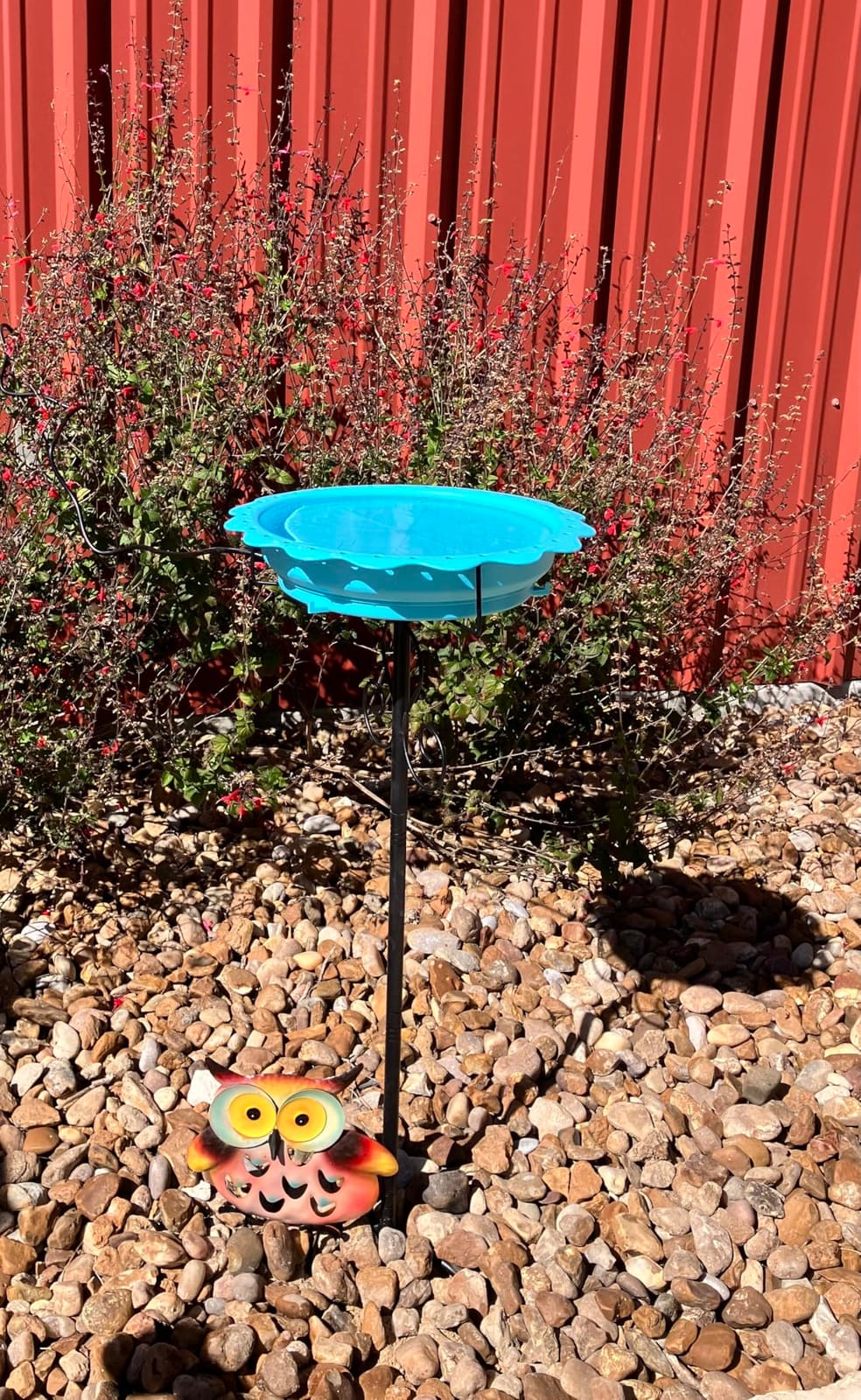Heated Bird Baths for Outdoors, 100W Heated Birdbath Outside Winter, Blue | Auto Thermostat Control, Large Capacity, Easy Cleaning, 5-Prong Metal Base, Longer Power Cord, Garden Yard Patio Lawn Decor customer photo 1