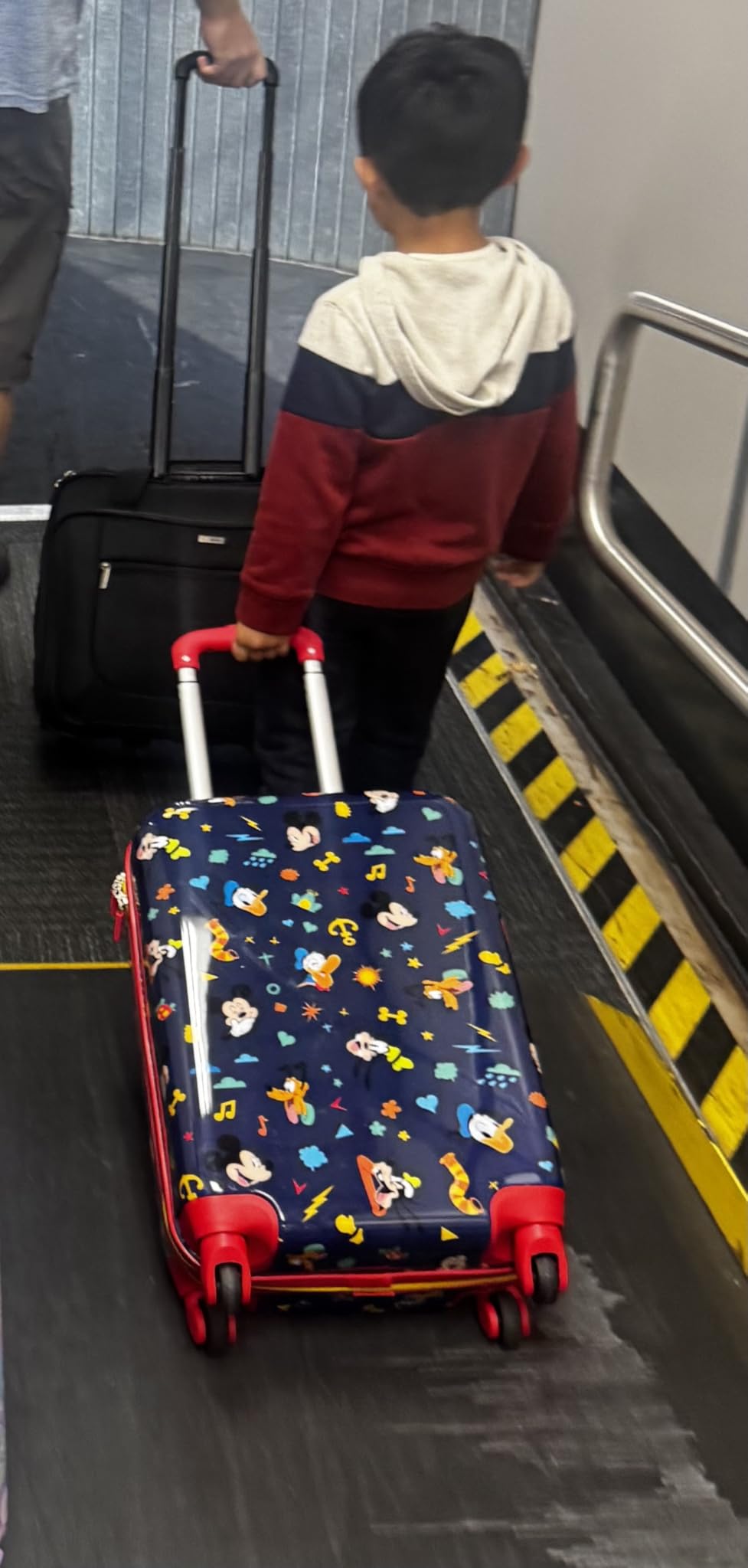 Disney Frozen Carry-On Luggage - Airline Approved, Durable Hardshell with Favorite Frozen Characters - Roll Confidentially with Spinner Wheels & Colorful Adjustable Handle customer photo 1