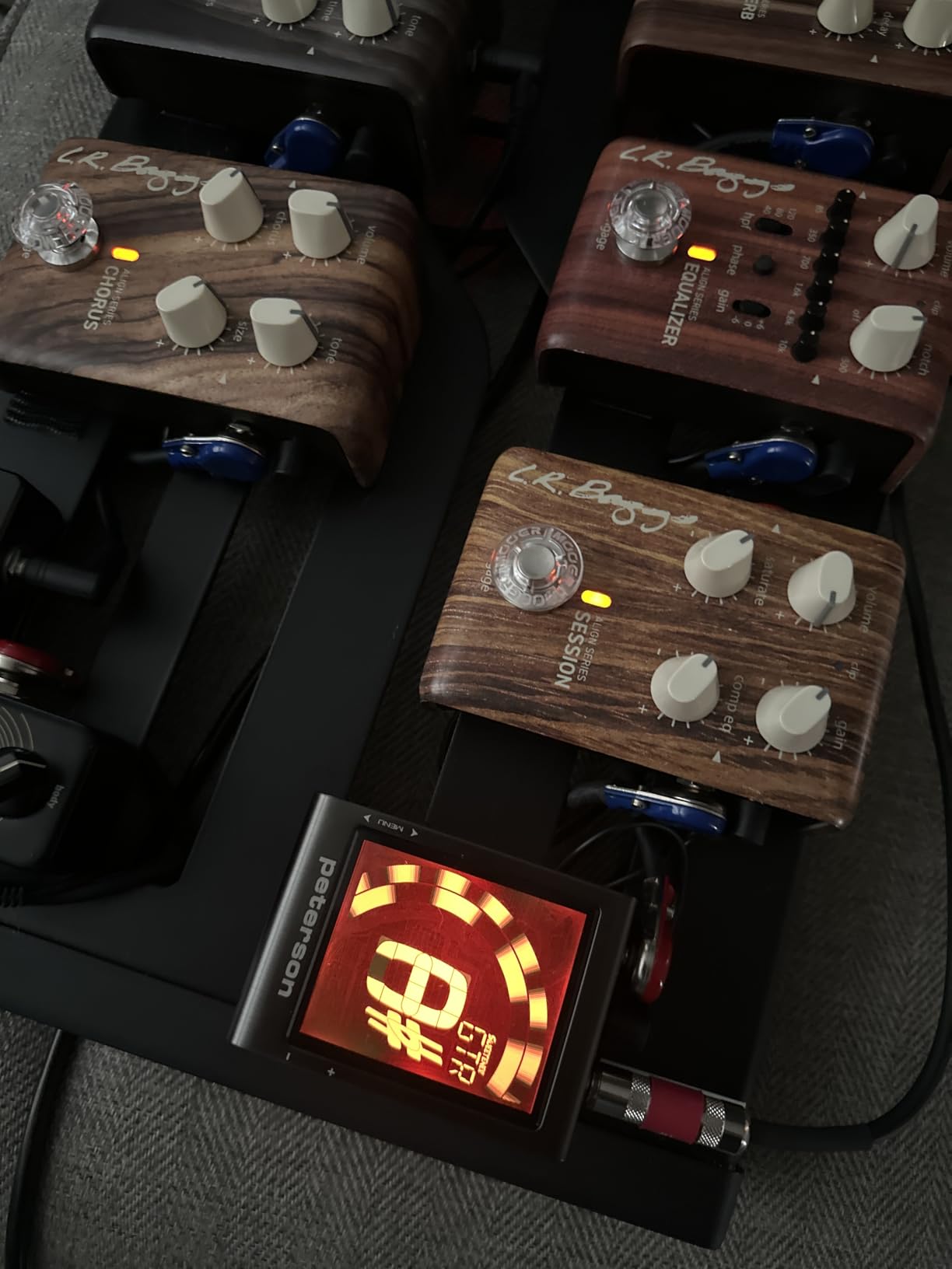 Peterson Strobe Tuners | StroboVUE Guitar and Bass Strobe Tuner customer photo 1