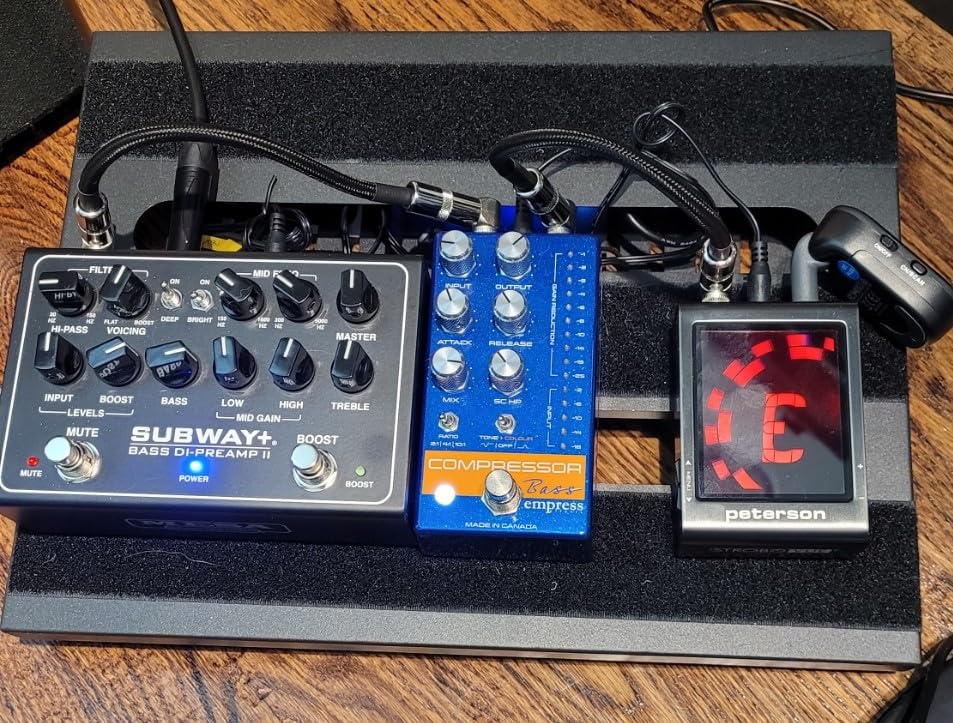 Peterson Strobe Tuners | StroboVUE Guitar and Bass Strobe Tuner customer photo 2