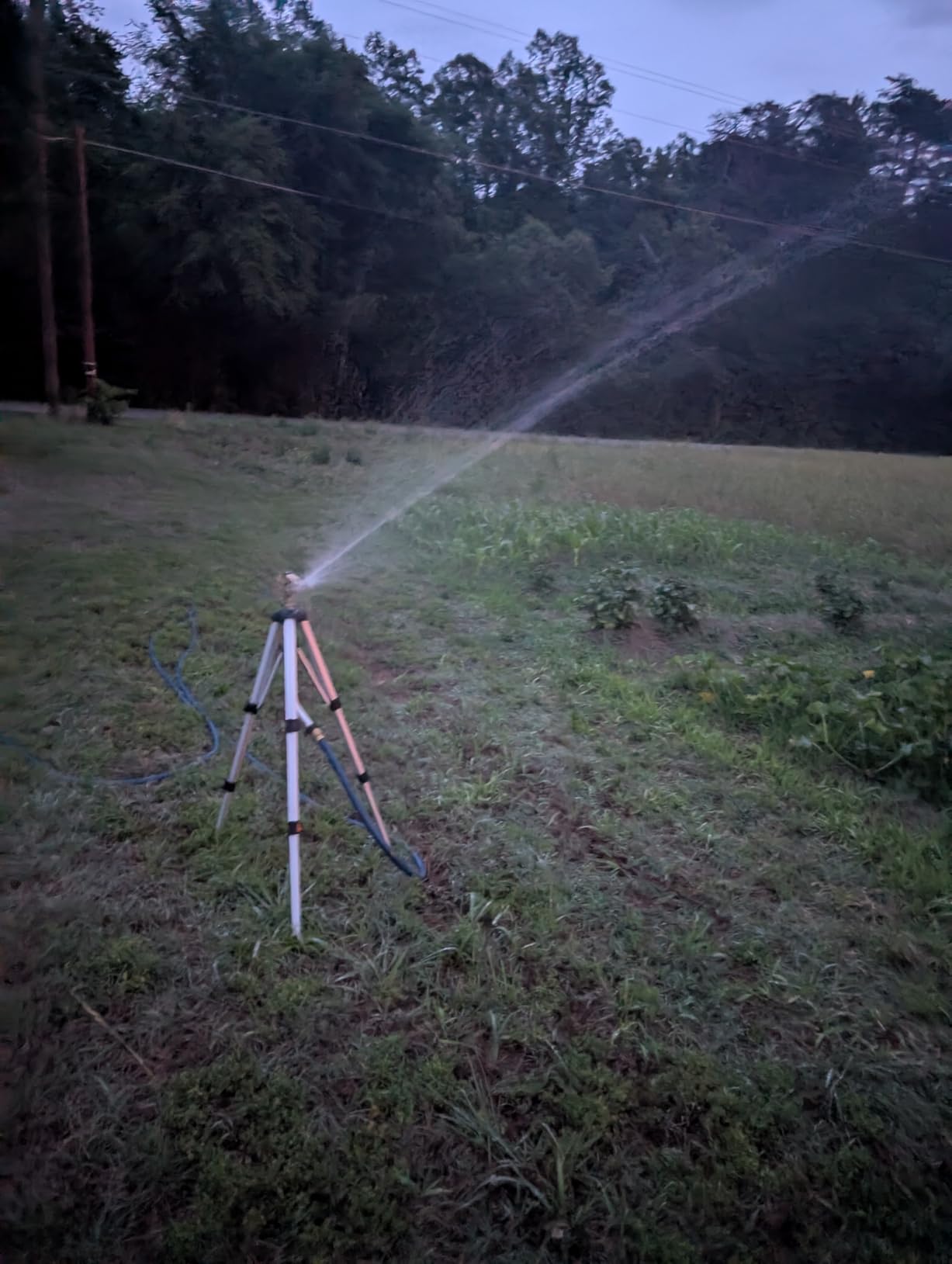 Biswing Large Impact Sprinkler Head on Tripod Base, Adjustable Zinc Alloy Lawn Sprinklers for Yard Lawn Garden, 3/4