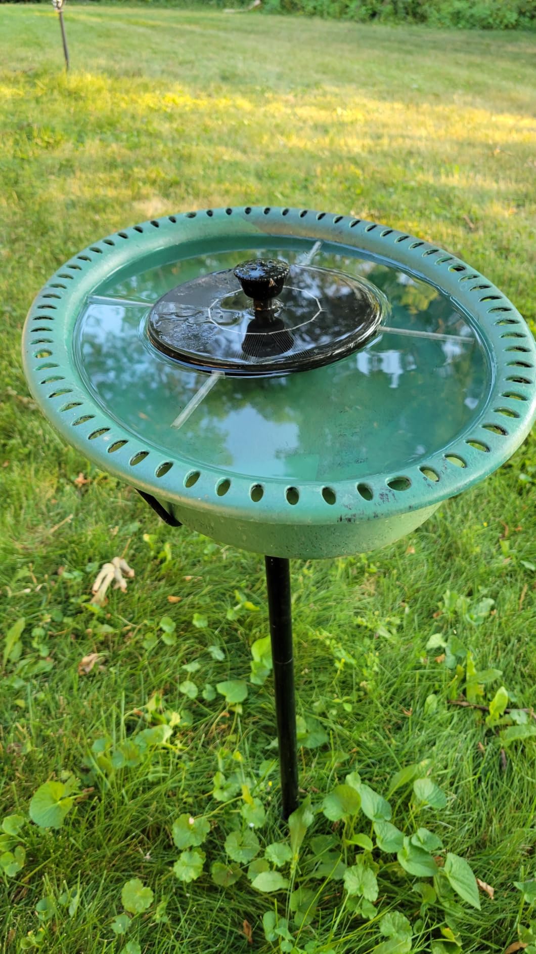VIVOHOME Oval Bird Bath with Solar Fountain and Metal Ground Stake, Green | Solar-Powered Pump, Weather-Resistant ABS, 1.3-Gallon Capacity, for Outdoor/Garden, Bird-Friendly, Easy to Clean customer photo 1