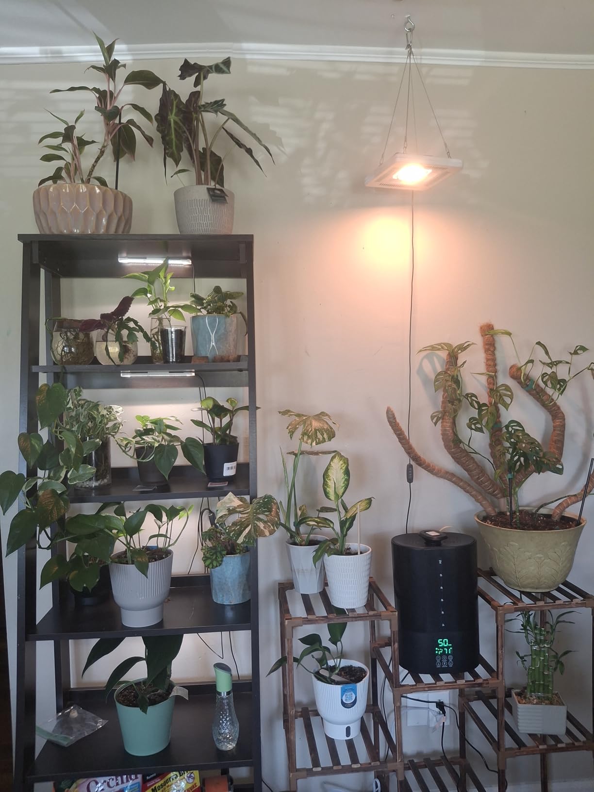 Coolfiqu 6L Warm & Cool Mist Humidifiers for Bedroom,Large Room,Plants customer photo 2