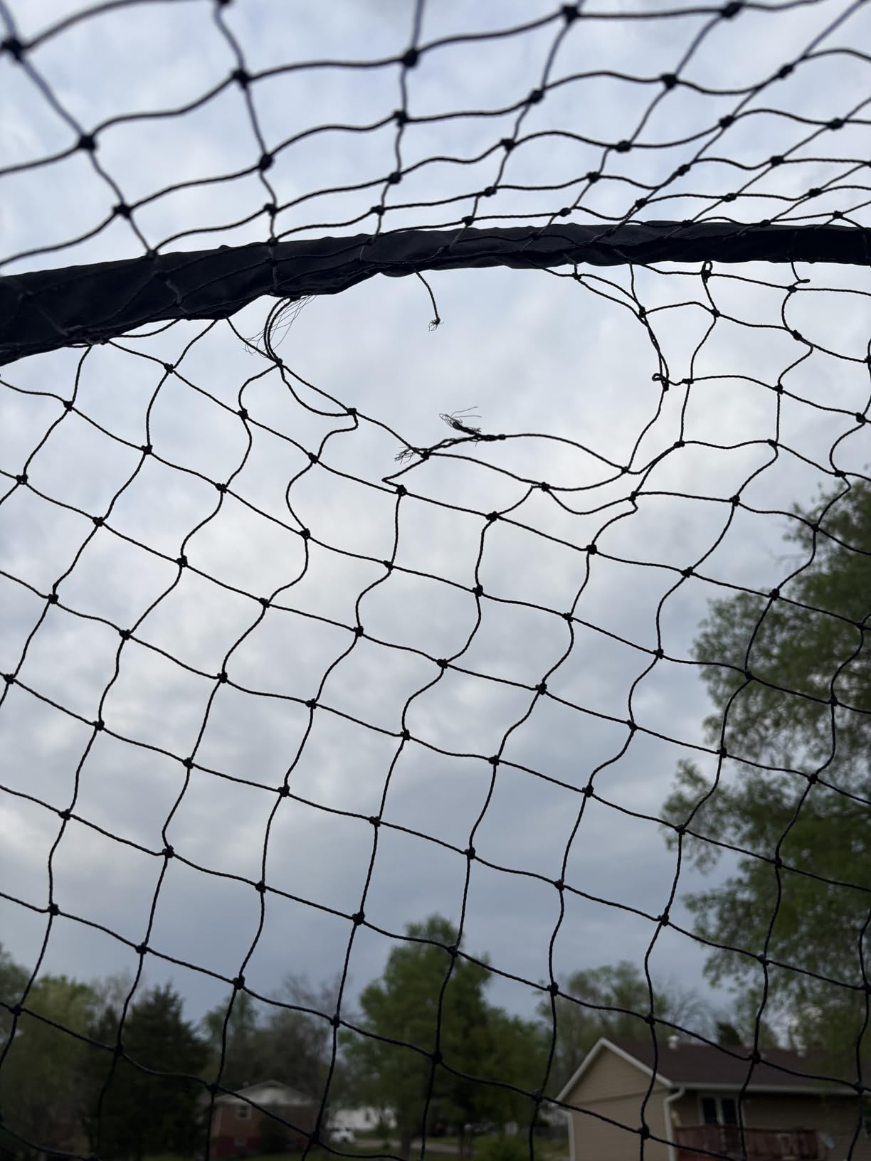 VEVOR Baseball Batting Cage,Carbon Steel/Fiberglasss Portable Batting Cage customer photo 1