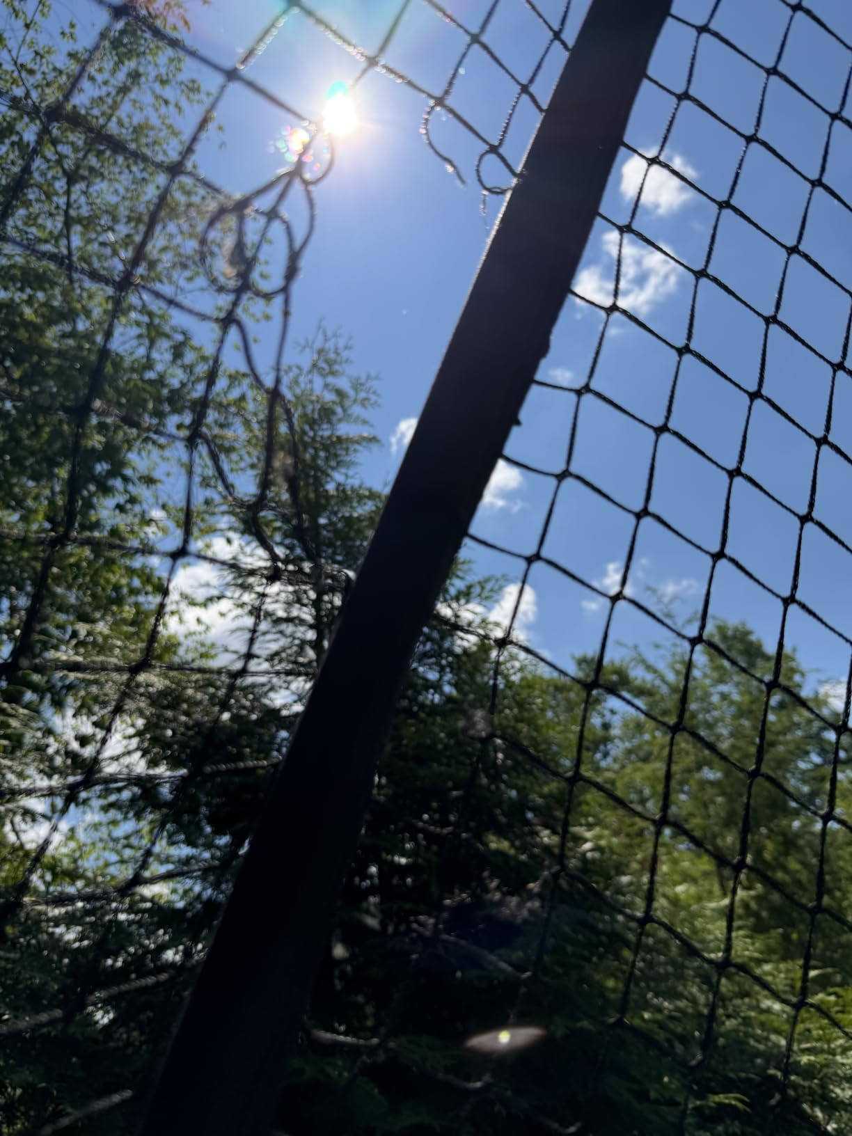 VEVOR Baseball Batting Cage,Carbon Steel/Fiberglasss Portable Batting Cage customer photo 2