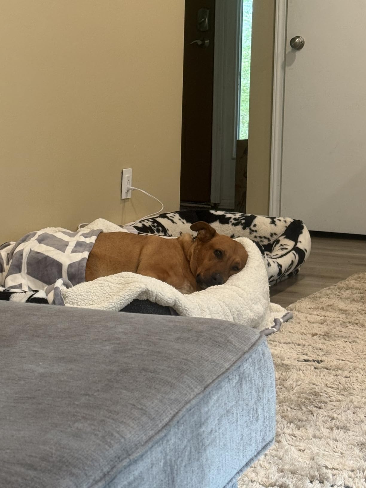 VENTIMI Heated Blanket Queen, 9 Heat Levels & 2-10 Hours Auto Off, Navy customer photo 2