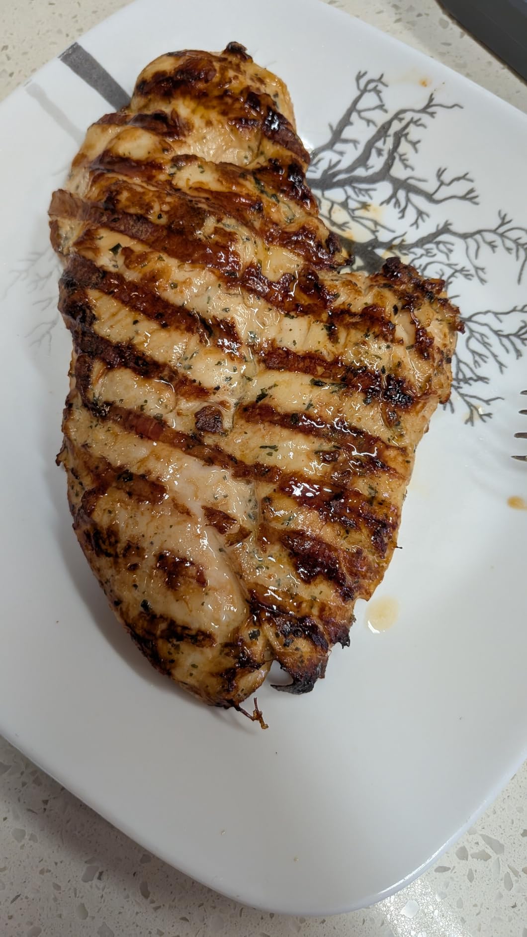 Cuisinart Outdoor Electric Grill, 8-in-1 Air Fryer/Grill/Smoker, 154 sq in customer photo 2