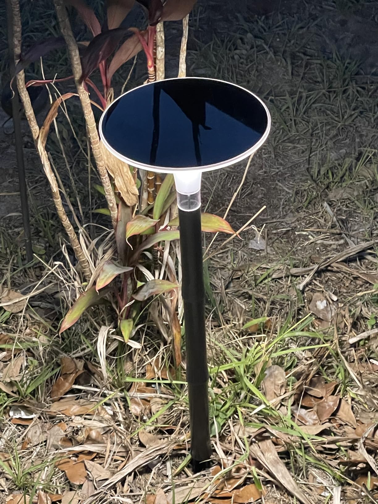JOFIOS Solar Pathway Lights 6 Pack, 3 Color Modes, 200LM 58 LEDs Bright Landscape Lighting, 2000mAh Battery 10H+ Runtime, IP65 Waterproof Modern Walkway Lights for Garden Yard Driveway customer photo 2