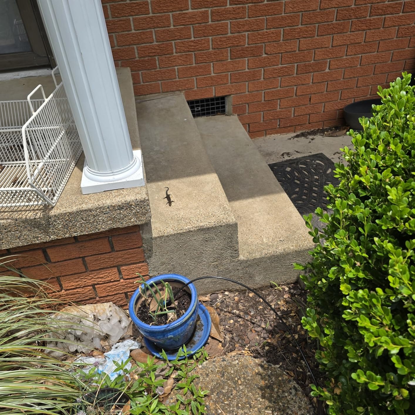 230FT Drip Irrigation System with 38pcs Adjustable Copper Nozzles & Emitters customer photo 1