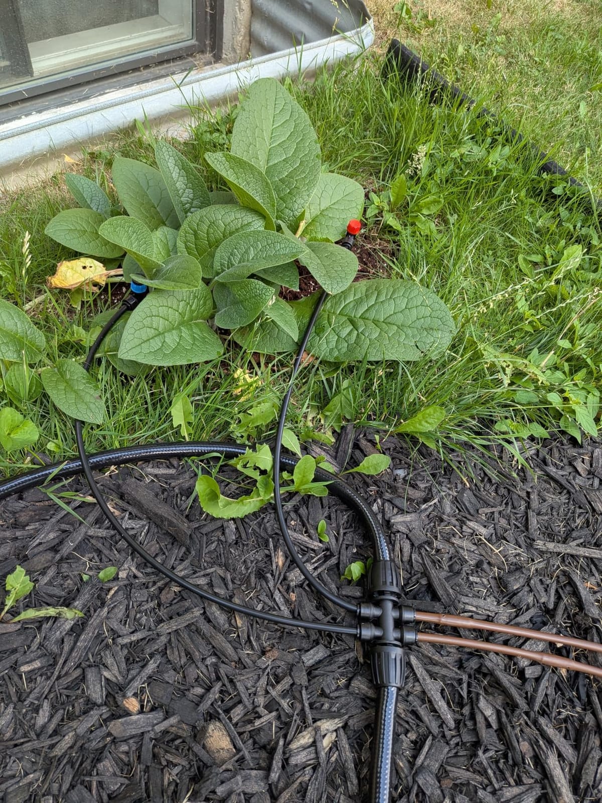230FT Drip Irrigation System with 38pcs Adjustable Copper Nozzles & Emitters customer photo 2