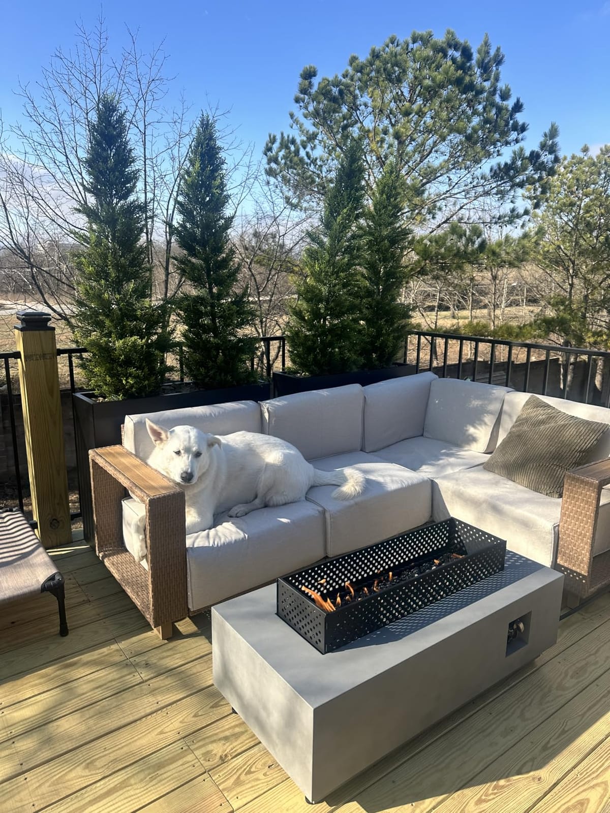 Corten Steel Style Planter Box, 36W x 11D x 30H, Not Pre-Rusted | Tall & Long Outdoor Planters customer photo 2
