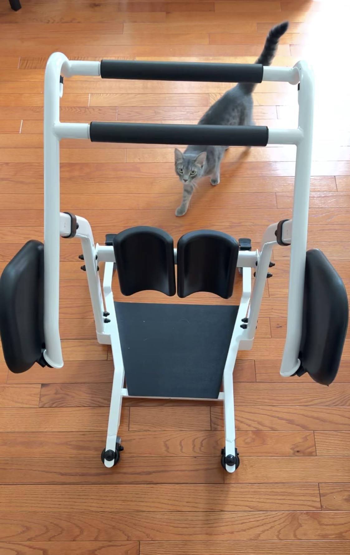 VOCIC Sit to Stand Lift, Patient Lift Chair Transport Unit with Wheels customer photo 1