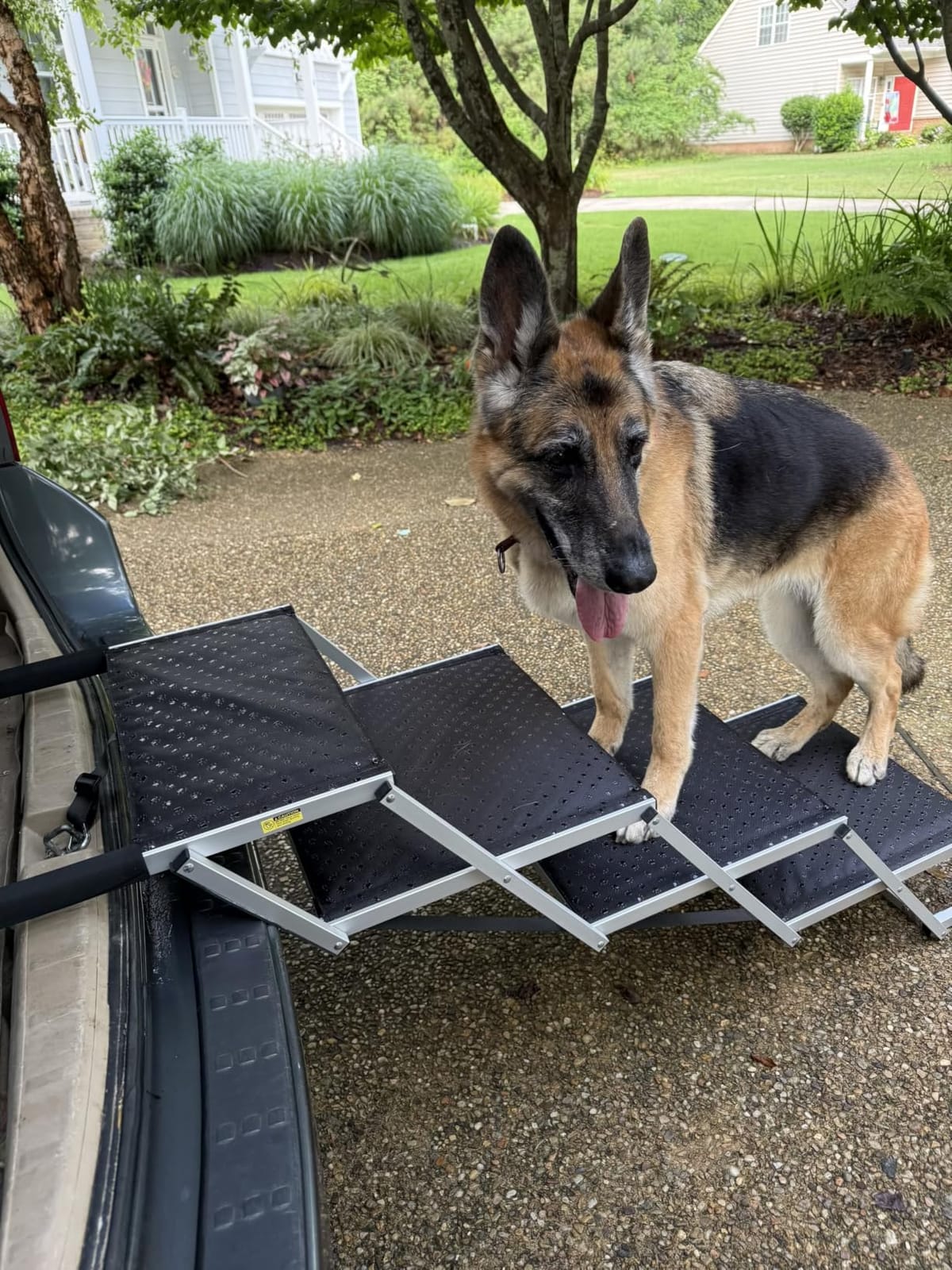 Dog Ramp for Car 71