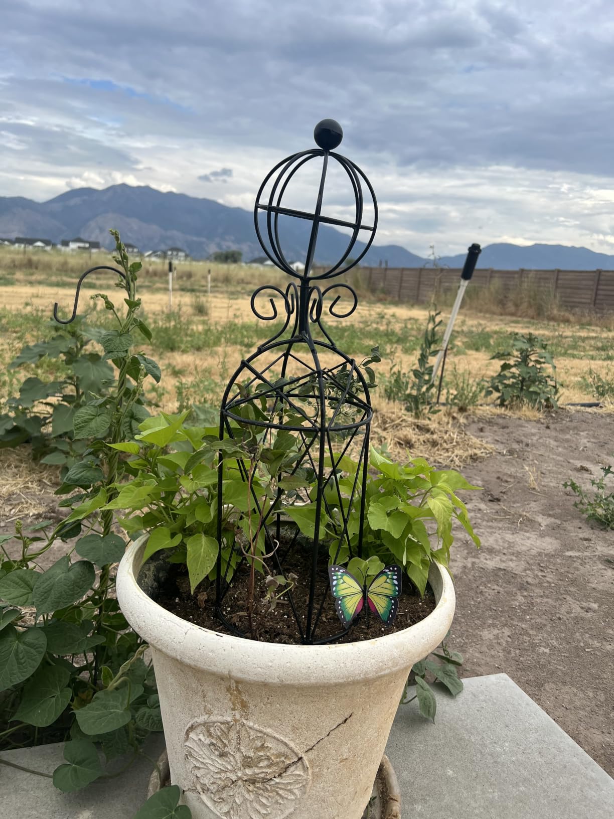 2-Pack Metal Garden Obelisk Trellis, 28