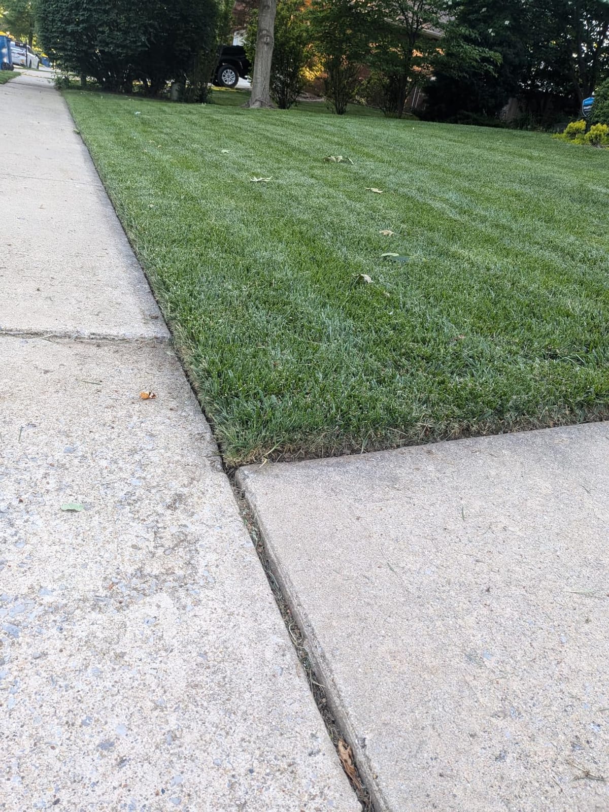 VEVOR Lawn Edger 8.8-in Blade, 20V Battery Powered Cordless Edger Lawn Tool customer photo 2