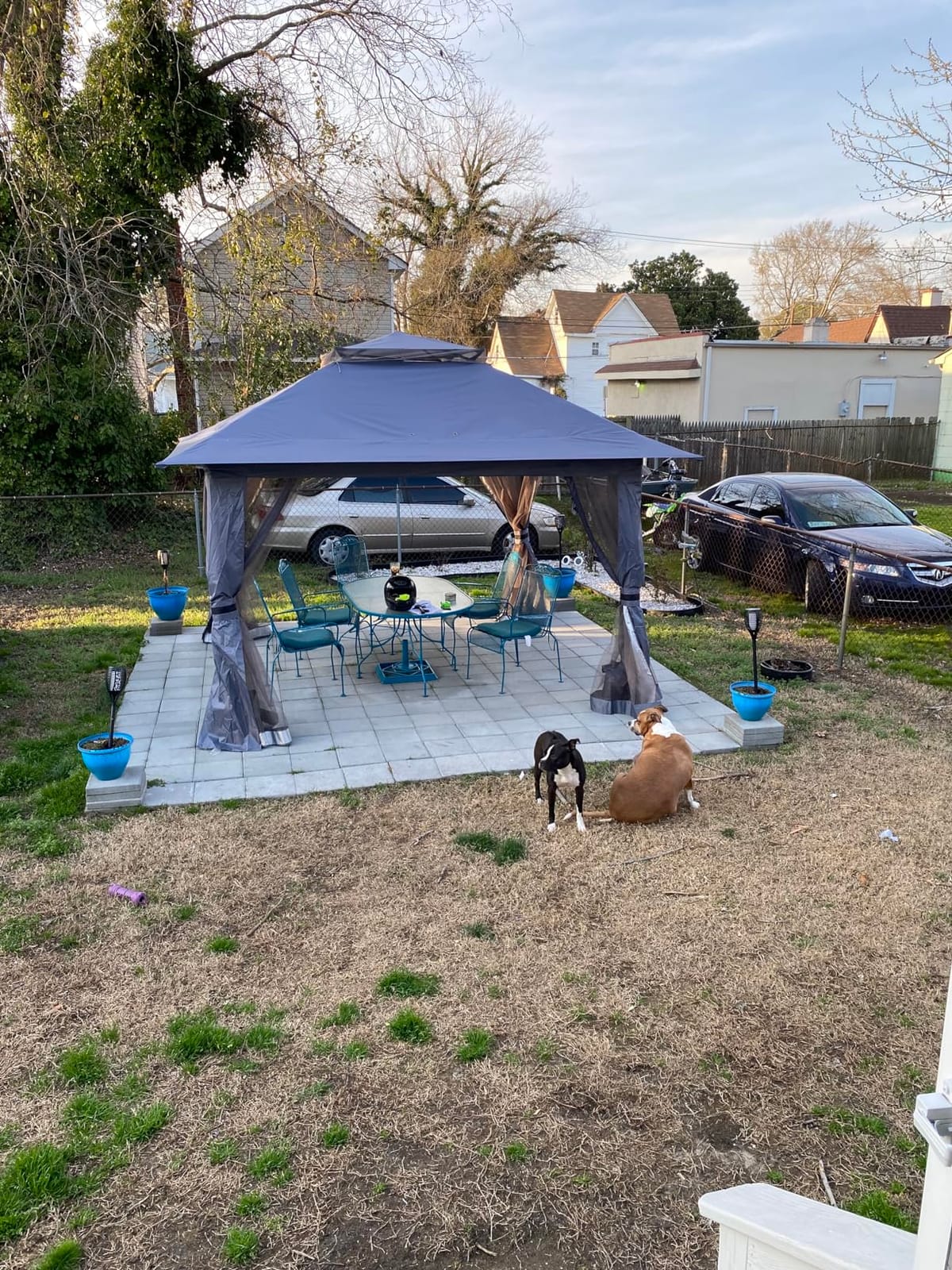 MASTERCANOPY 11x11 ft Pop Up Gazebo with Netting Screen Walls, Khaki customer photo 1
