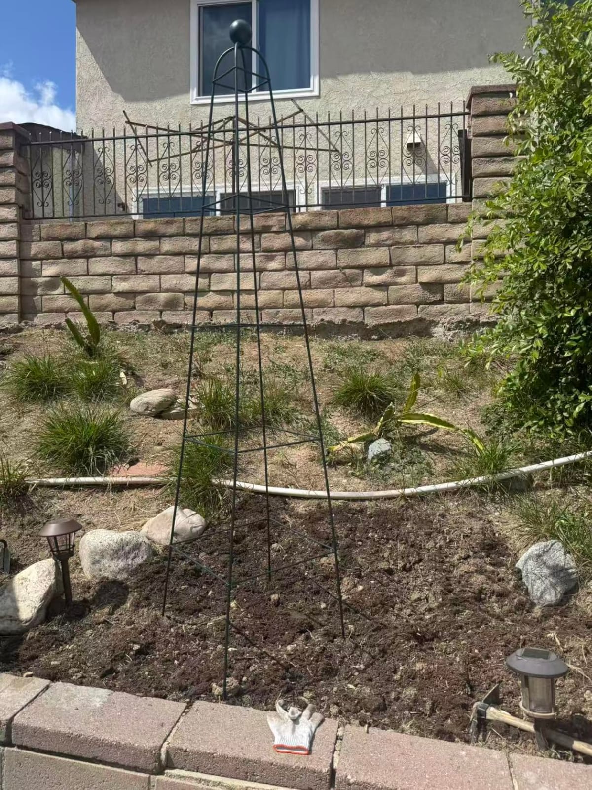 Vego Garden 6.5 ft Pyramid Obelisk Garden Trellis, Metal Rustproof Plant Support Rose Trellis, Tower Potted Cages for Flowers Fruits Vegetable Vines Indoor & Outdoor customer photo 1