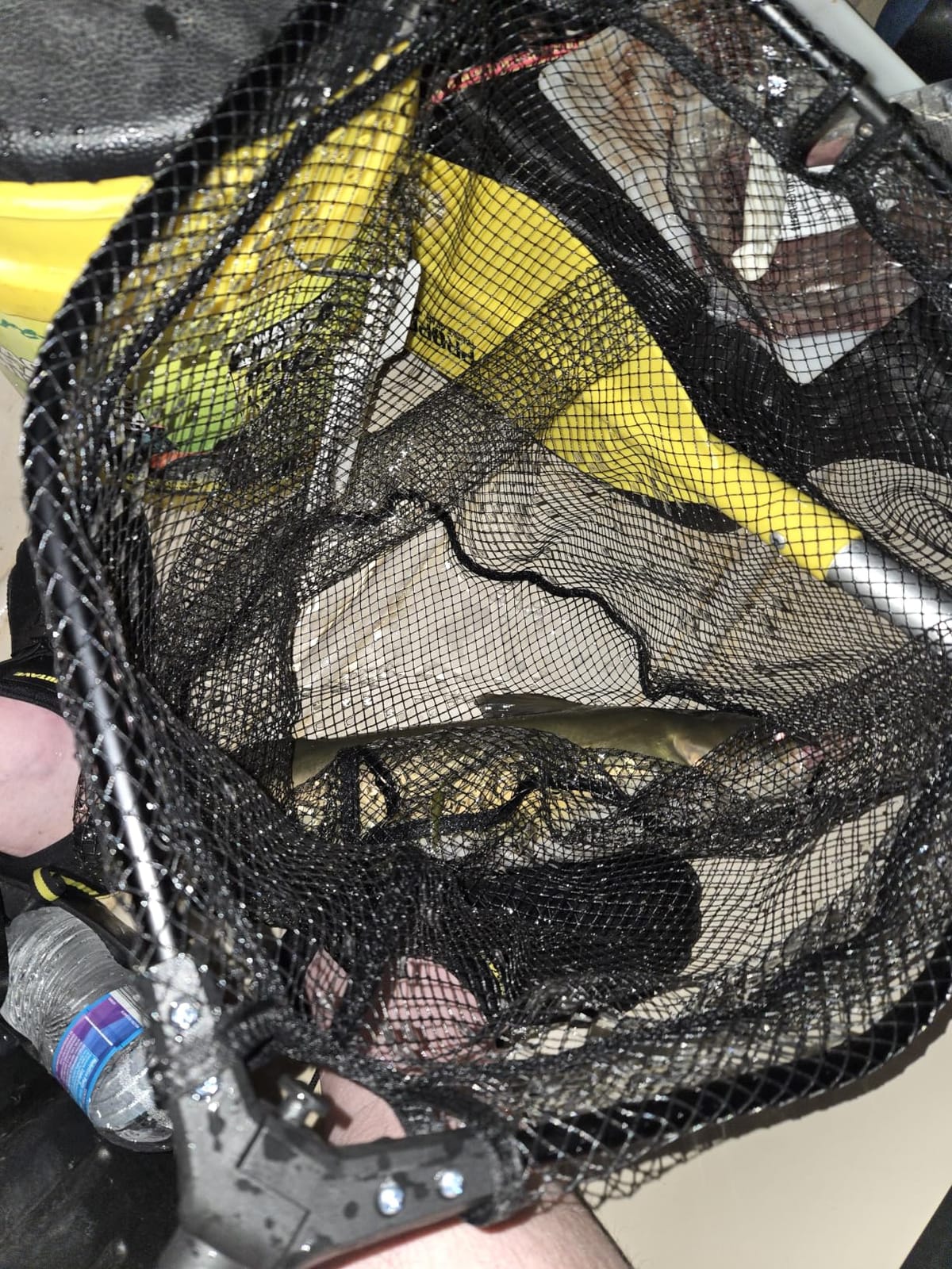 PLUSINNO Large Fishing Net, 3.4-7.7 FT Carbon Fiber Fish Net with Long Telescoping Handle, Kayak Fishing Gear Accessories Foldable Landing Net for Bass, Trout, Catfish, Fishing Gifts for Men Father customer photo 2