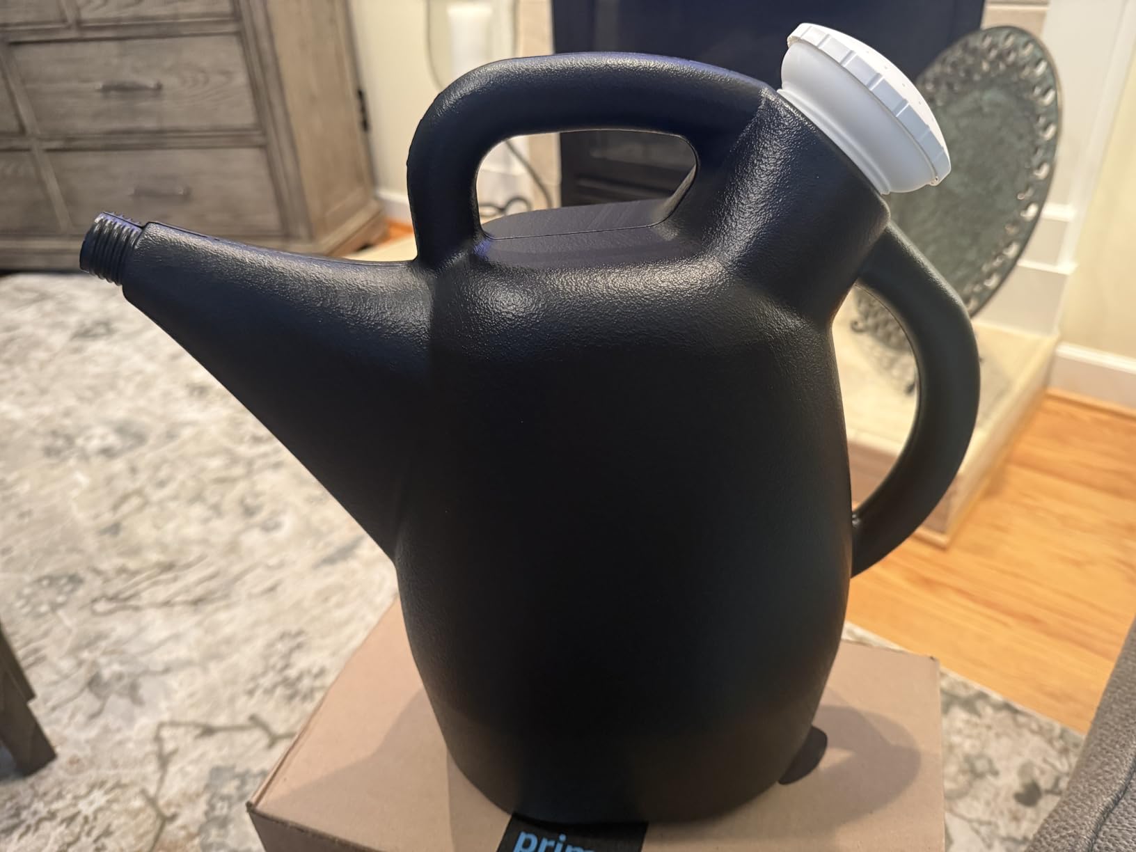 CHAPIN 48010 2-Gallon Watering Can, Drip-Free Spout for Clean Pour customer photo 1