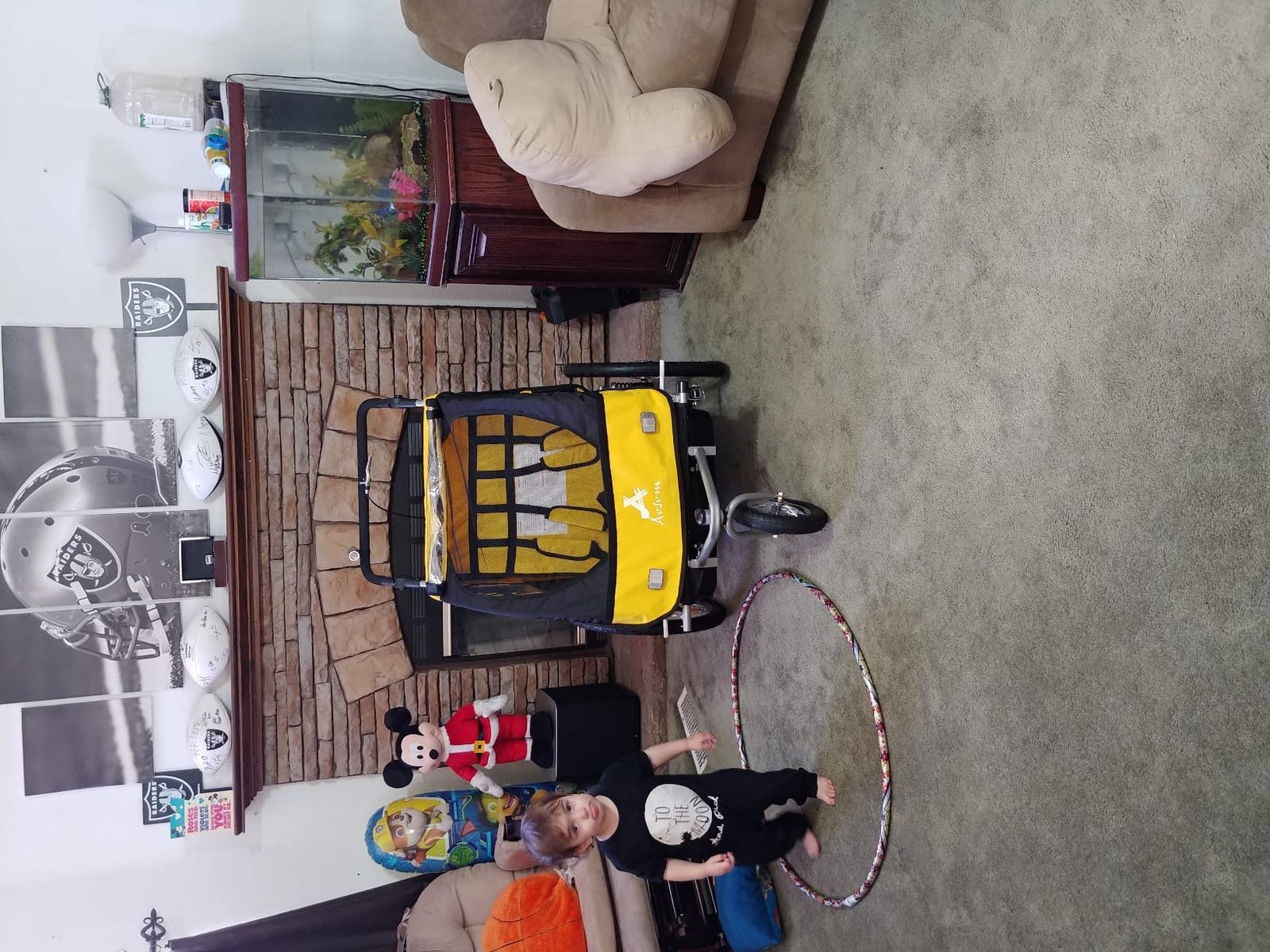 Aosom Elite 360 Swivel Bike Trailer for Kids Double Child Two Wheel customer photo 1