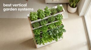 best vertical garden systems