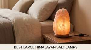 best large himalayan salt lamps