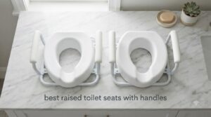best raised toilet seats with handles