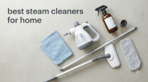 best steam cleaners for home