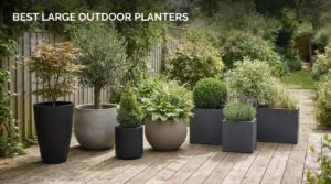 best large outdoor planters