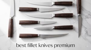 best fillet knives premium