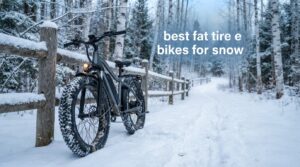 best fat tire e bikes for snow