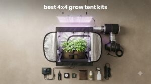 best 4x4 grow tent kits
