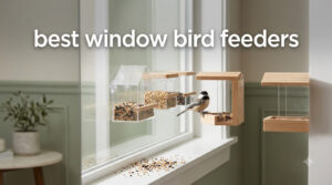 best window bird feeders