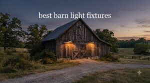 best barn light fixtures