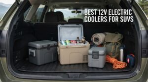 best 12v electric coolers for suvs