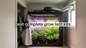 best complete grow tent kits