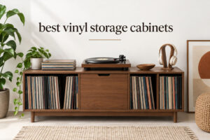 best vinyl storage cabinets