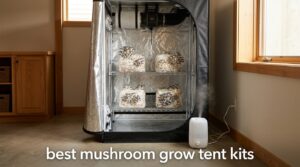 best mushroom grow tent kits